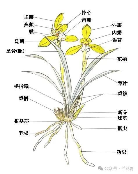 微信图片_20241028134307.jpg