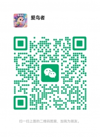 赏荷瓣兰花
